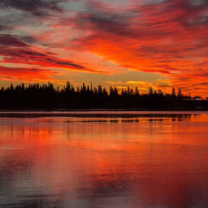 Meet your Posher, Doreen